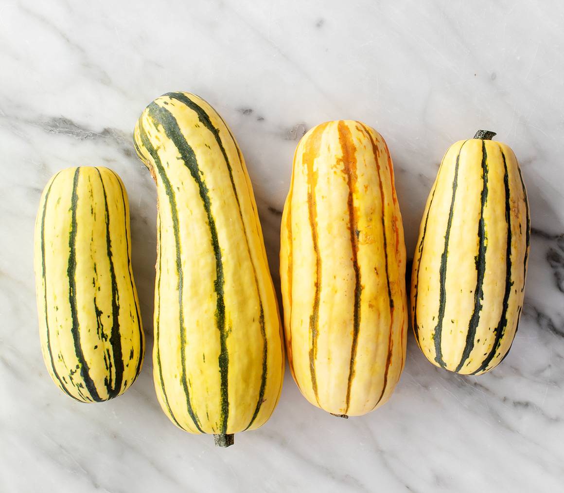4 medium Delicata squash on countertop